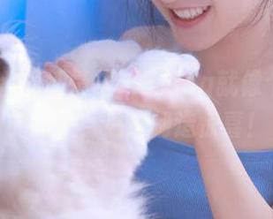 最新情报：91icg就像个长不大的孩子，总是制造惊喜！