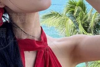迷迷糊糊，总算找到了链接，吃瓜网下载，阳光明媚的日子就是肆意吃瓜！