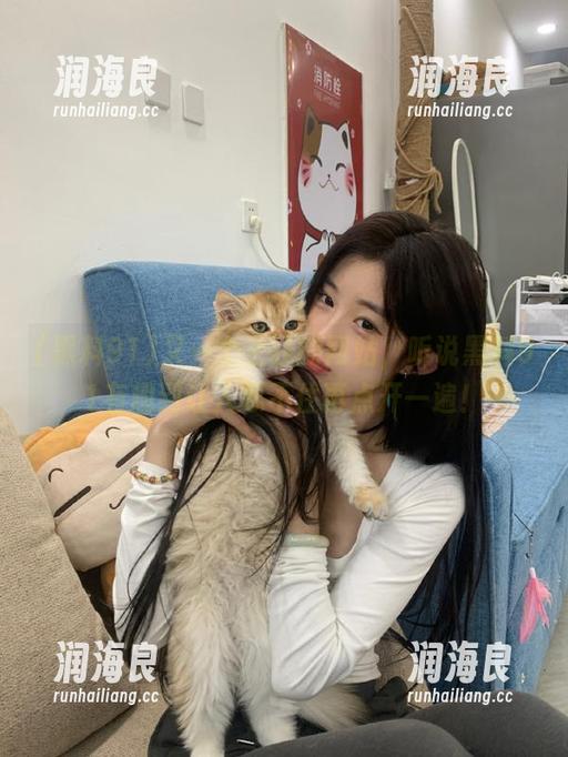 黑料91 又一个上线的网站,听说黑料91有趣到让人忍不住再点开一遍!