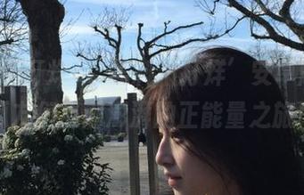 ‘黑料不打烊’安卓版，让瓜友们心潮澎湃的正能量之旅！